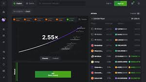 Unraveling the Excitement of the Betting Platform BC Game